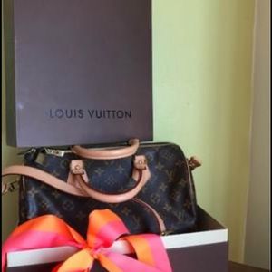Louis Vuitton Hand Bag